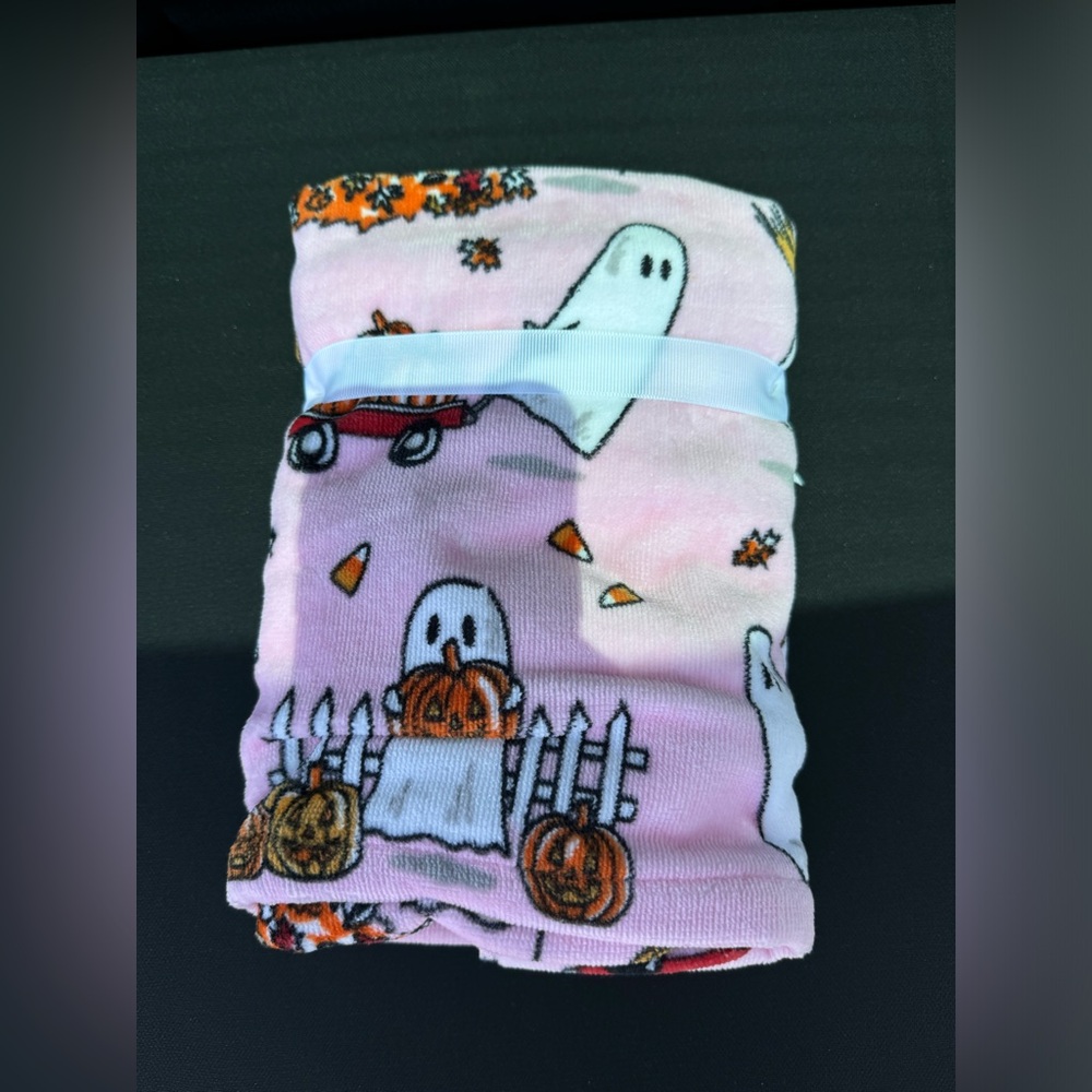 Issac Mizrahi ghost pink set of 2 hand towels